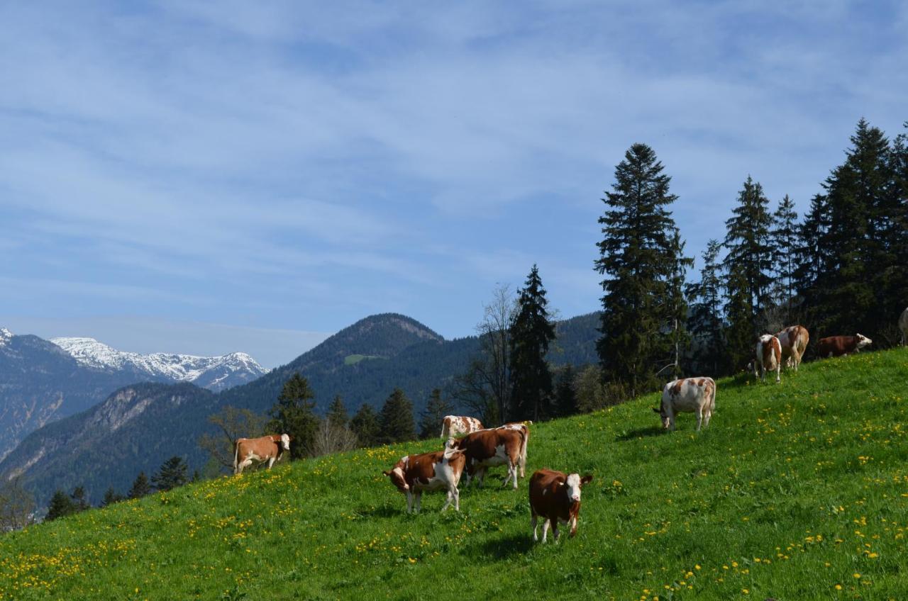 Apart Timeout Hart im Zillertal Eksteriør billede